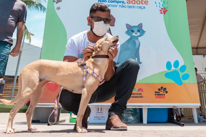 Essa é a primeira vez que o Município adota políticas públicas voltadas para os animais. Foto: Victor Vercant/SMS
