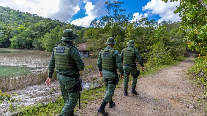 Polícia Militar resgata jaguatirica em área urbana no município de Penedo
